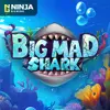 Bigmad Shark